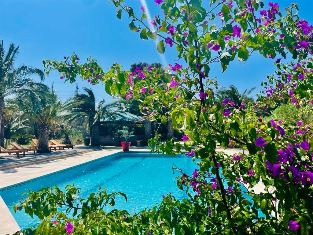 Hotel Tropic 3*