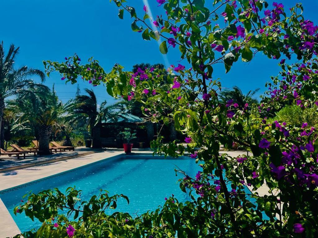 Tropic Hotel Rivesaltes
