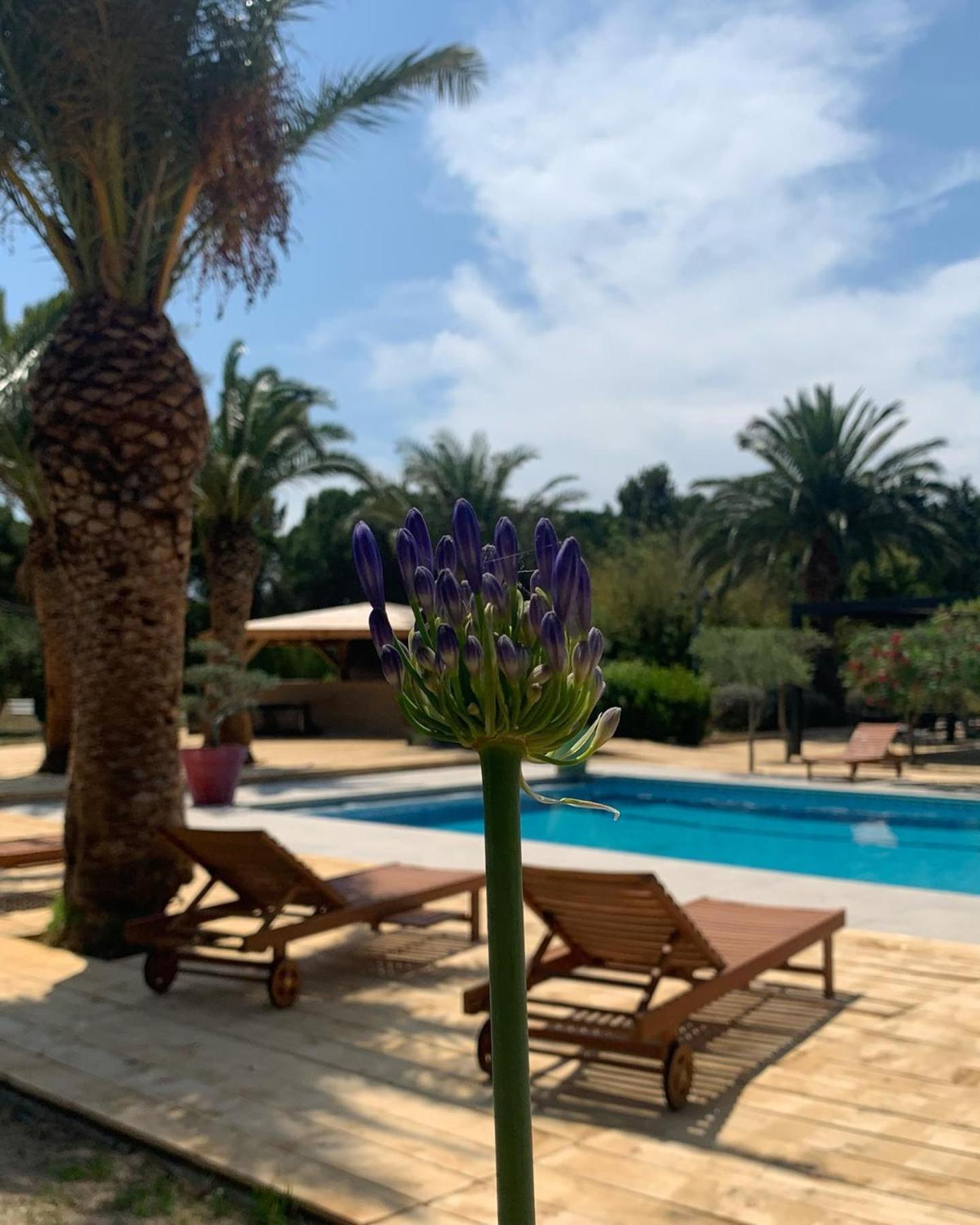 Hotel Tropic